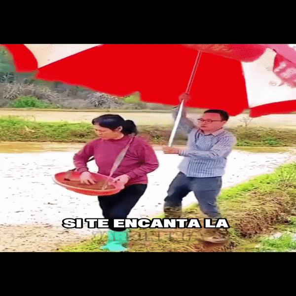 Sombrilla Sombrero Versátil