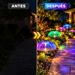 MedusaLight™ – Medusas Solares que Iluminan tus Noches sin Gastar Luz | Promo 2x1