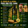 Shampoo Dogs Dreams® - elimina la dermatitis formula de avena para aliviar la picazón en la piel, hipoalergénico para pieles sensibles, para perros de todas las edades, desodoriza y sana la dermis de tu mascota