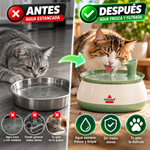 Fuente de agua para gatos BISSELL HydrateWell™️: agua fresca y filtrada con bomba inalámbrica ultrasilenciosa.