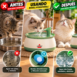 Fuente de agua para gatos BISSELL HydrateWell™️: agua fresca y filtrada con bomba inalámbrica ultrasilenciosa.