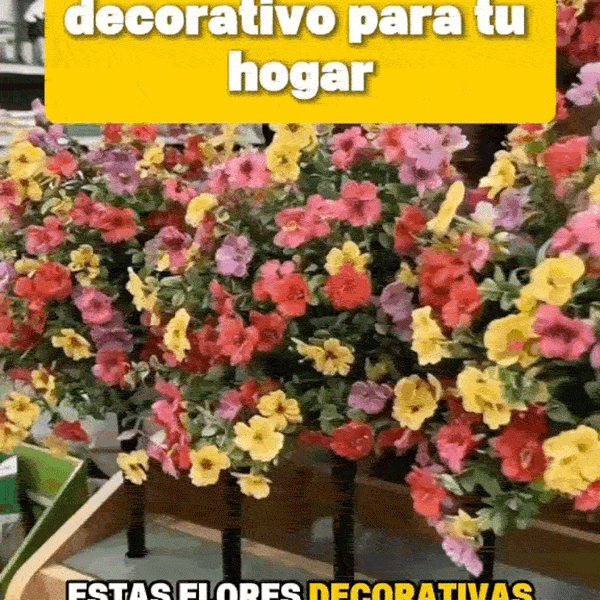 Ramos Eternos Coloridos