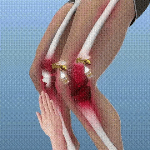 FlexAlivio Gel Articular
