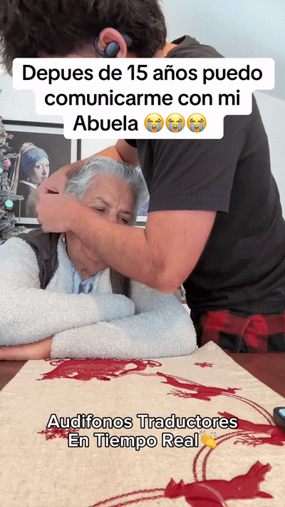 Traductor Auditivo Pro