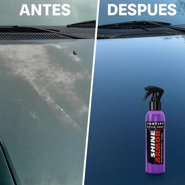 Spray Protector de Autos