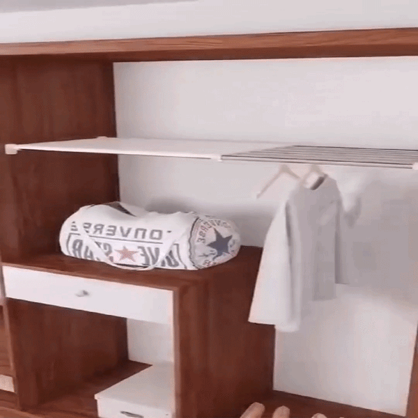 Organizador Extensible Práctico